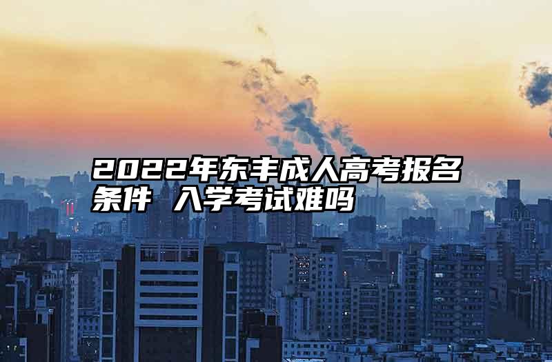 2022年东丰成人高考报名条件 入学考试难吗
